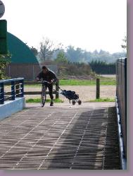 IMG_3931 * 2272 x 1704 * (1.21MB)
